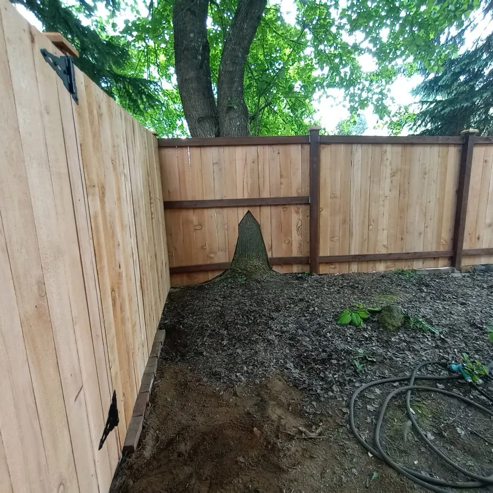 Affordable lawn care service for residential properties in Shelton, WA by Richy Mendoza Landscaping & Fence