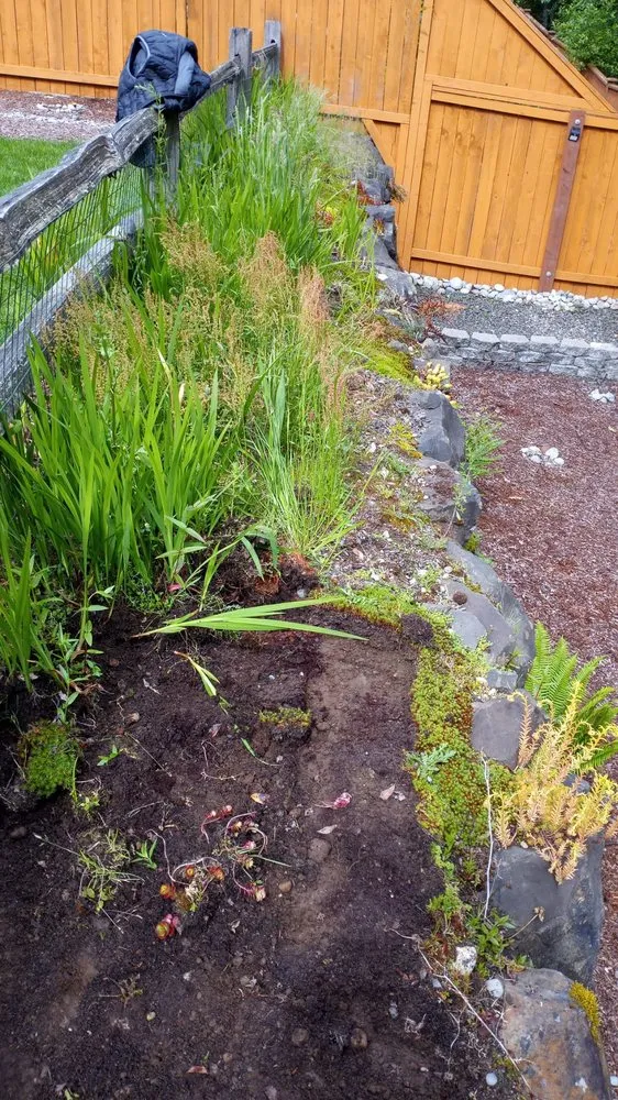 Professional residential landscaping in Shelton, WA - Richy Mendoza Landscaping & Fence