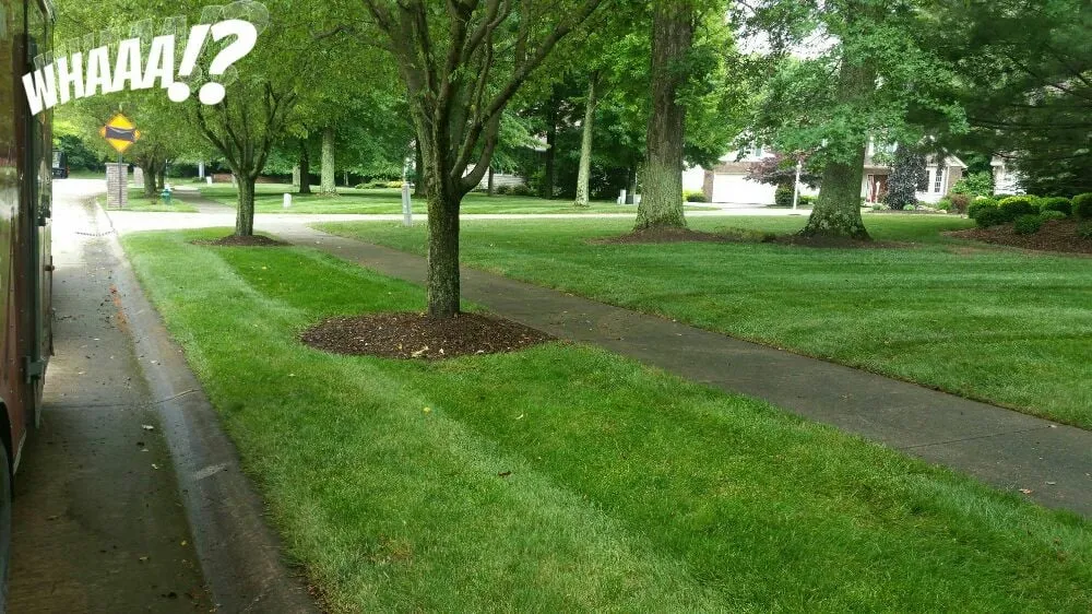 Affordable landscaping services in Lorain, OH by Rick and Rondas Landscapes