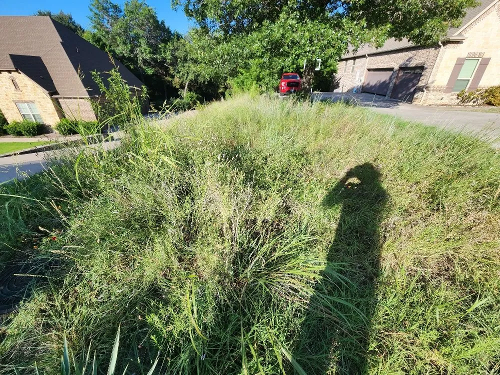 Reliable yard cleanup service for beautiful yards across Saginaw, TX - Rick and Sons