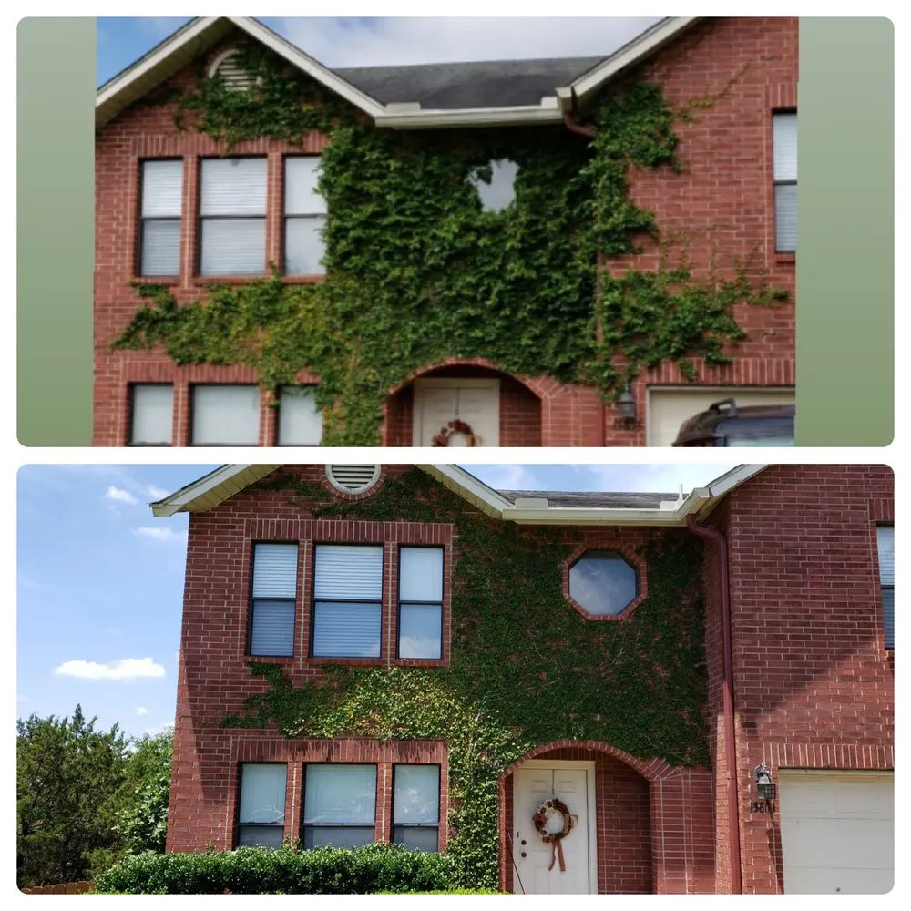 Affordable yard maintenance in San Antonio, TX by Rick at Your Service Property Solutions