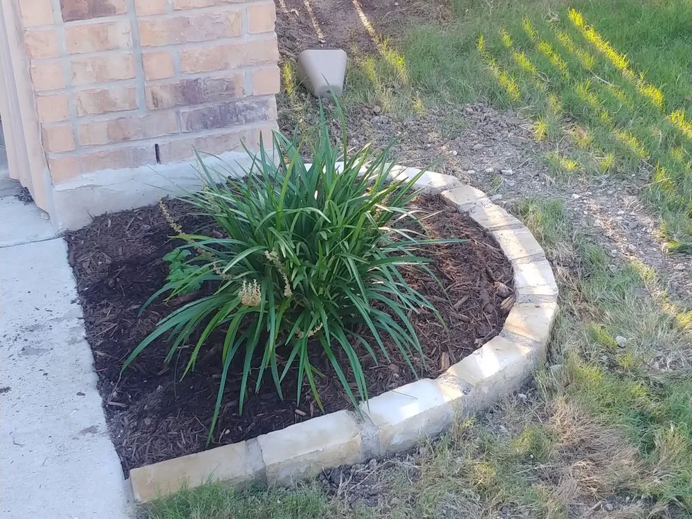Professional residential landscaping for beautiful yards across San Antonio, TX - Rick at Your Service Property Solutions