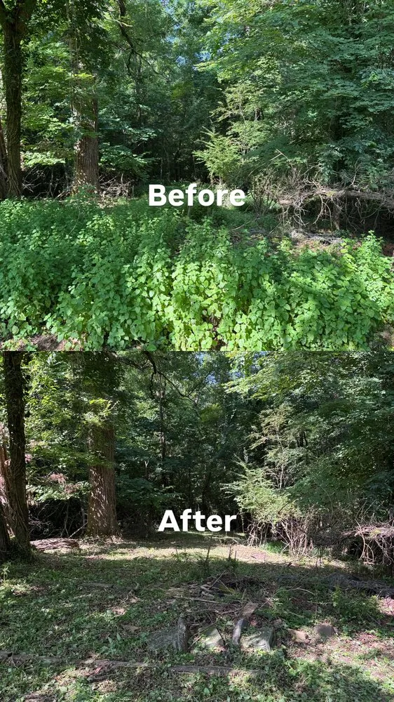 Trusted residential landscaping in Knoxville, TN by Rick Fowler’s Lawn Mowing Services