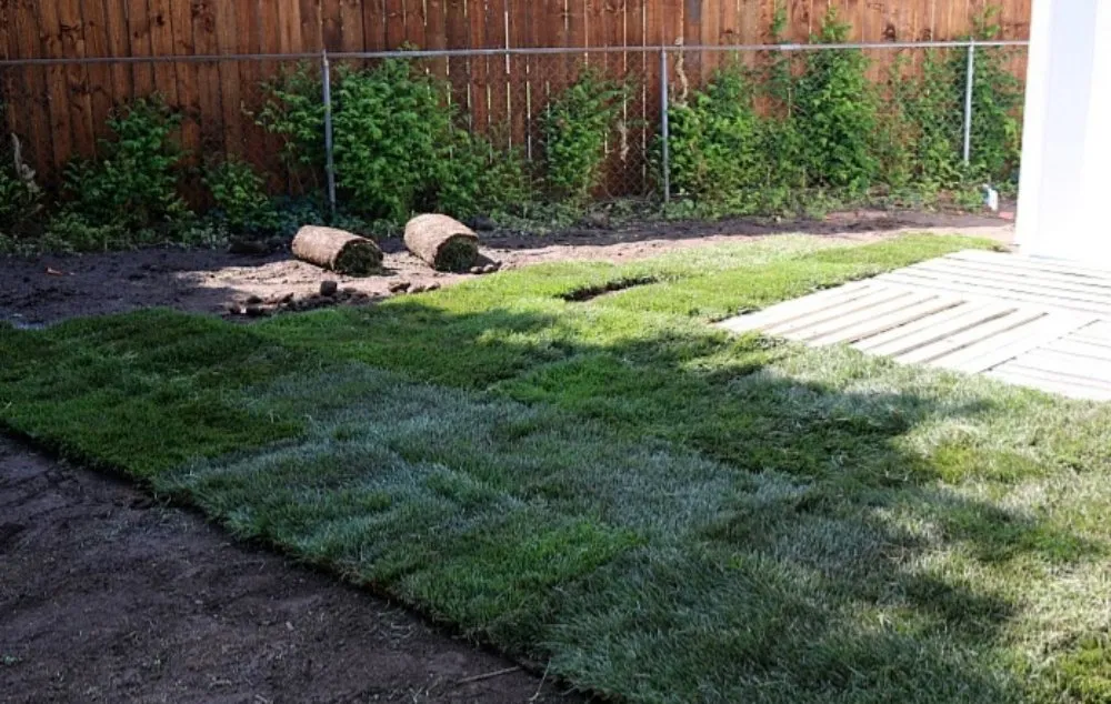 Local garden landscaping in Carson, CA - Rick Landscape Maintenance