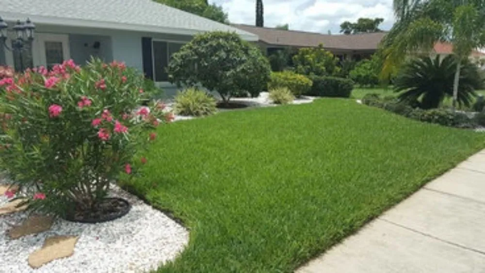 Top-rated residential landscaping in Carson, CA by Rick Landscape Maintenance