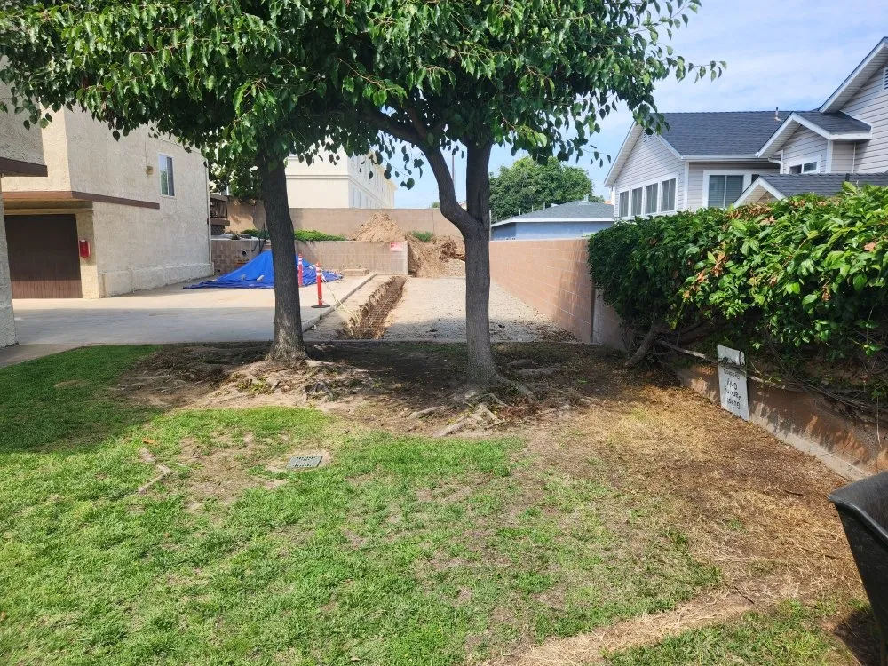 Local lawn care service for year-round maintenance across Carson, CA - Rick Landscape Maintenance