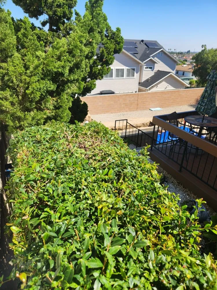 Expert outdoor landscaping in Carson, CA - Rick Landscape Maintenance