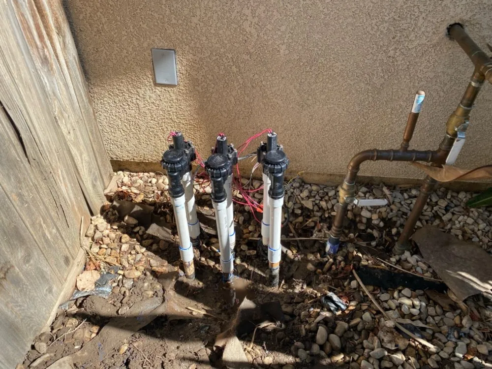 Affordable yard maintenance in Carson, CA by Rick Landscape Maintenance