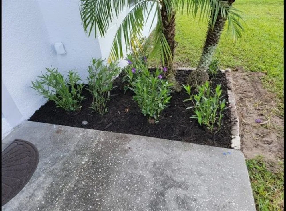 Affordable residential landscaping in Carson, CA by Rick Landscape Maintenance