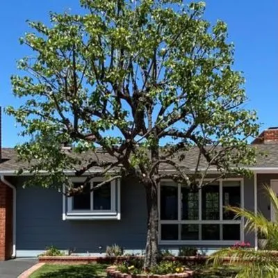 Rick Landscape Maintenance