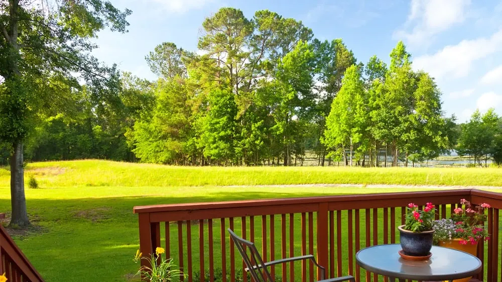 Reliable yard cleanup service experts serving Dayton, OH - Rick McClain Tree Service