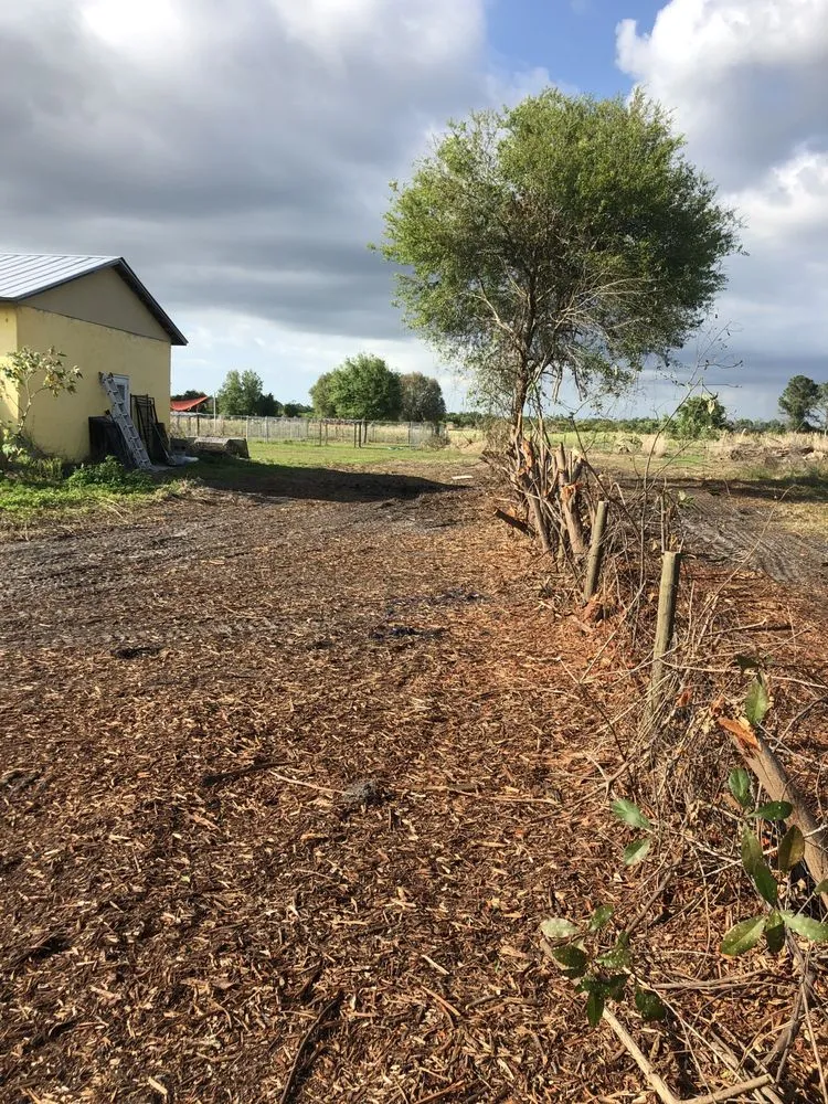 Reliable landscaping services in Myakka City, FL by Rick Richards