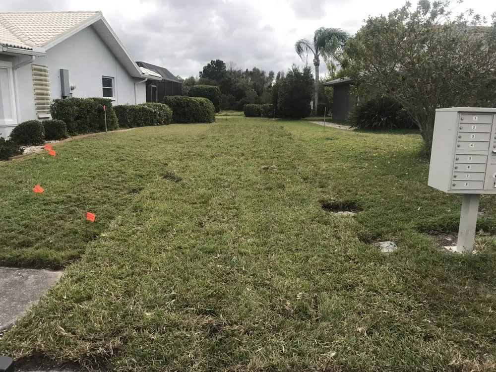 Trusted yard cleanup service in Myakka City, FL by Rick Richards