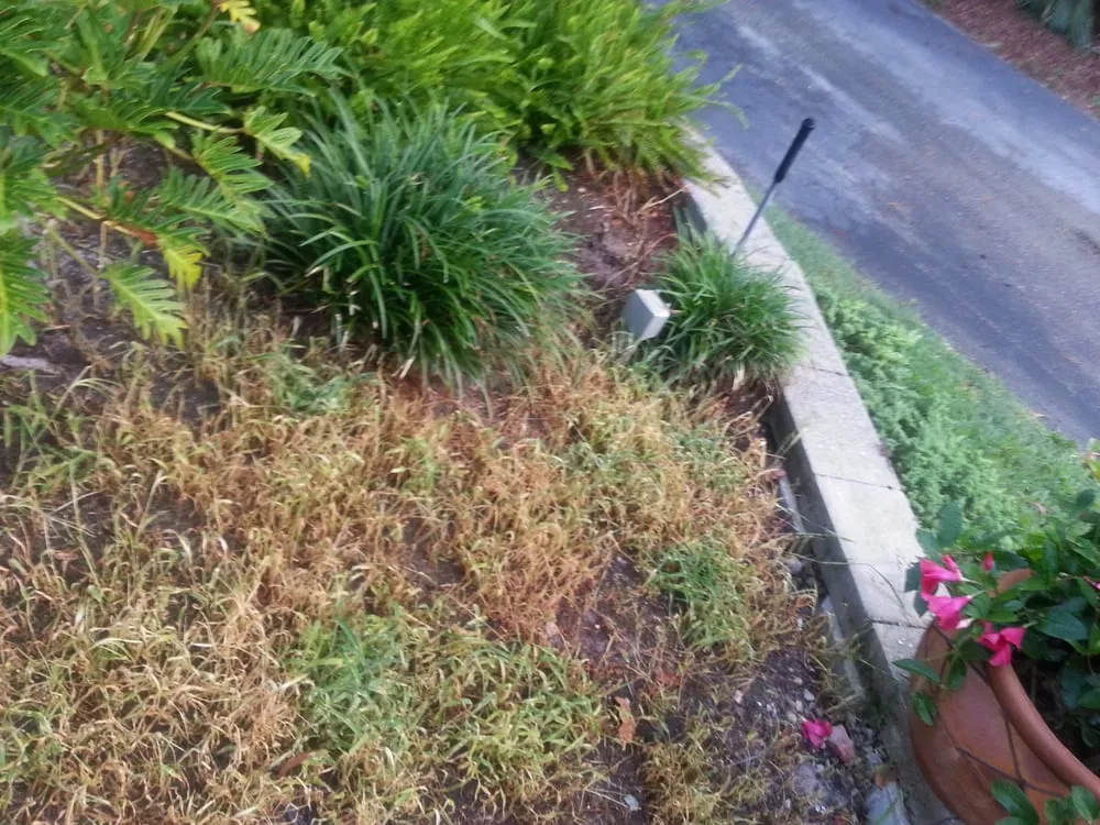 Affordable garden landscaping for homes in Lehigh Acres, FL by Rick Roberts Lawn Service
