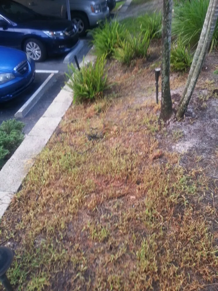 Top-rated yard maintenance for outdoor upgrades across Lehigh Acres, FL - Rick Roberts Lawn Service