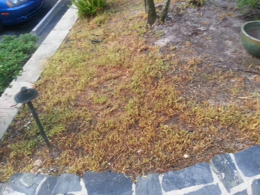 Reliable lawn care service in Lehigh Acres, FL - Rick Roberts Lawn Service