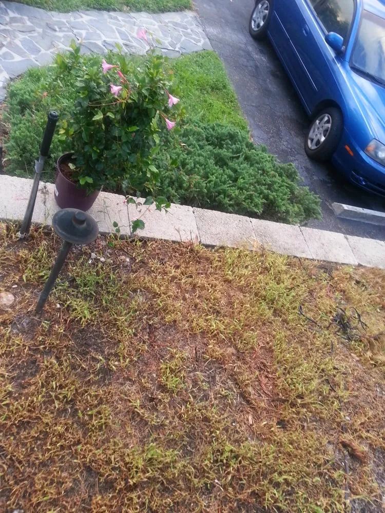 Reliable outdoor landscaping in Lehigh Acres, FL by Rick Roberts Lawn Service