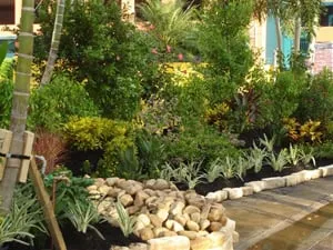 Professional lawn care service experts serving Lehigh Acres, FL - Rick Roberts Lawn Service