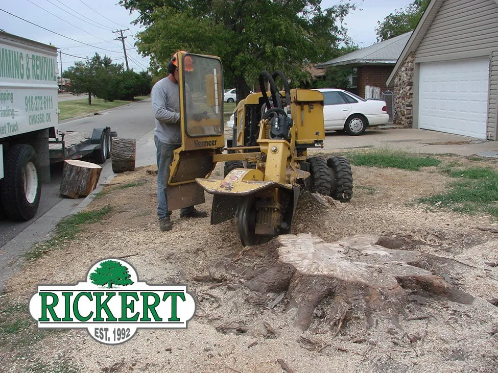 Affordable yard maintenance in Tulsa, OK by Rickert Landscaping & Tree Service