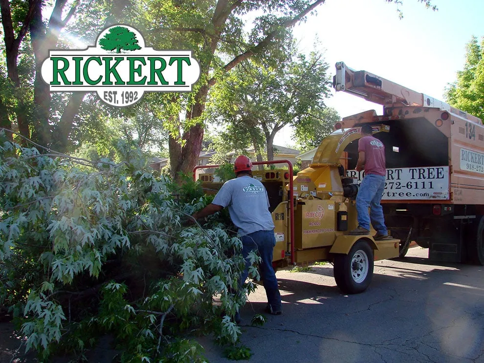 Affordable residential landscaping for year-round maintenance across Tulsa, OK - Rickert Landscaping & Tree Service