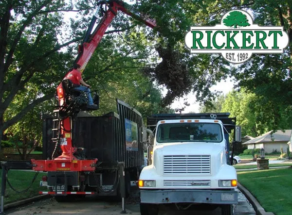 Trusted landscape design with custom design across Tulsa, OK - Rickert Landscaping & Tree Service