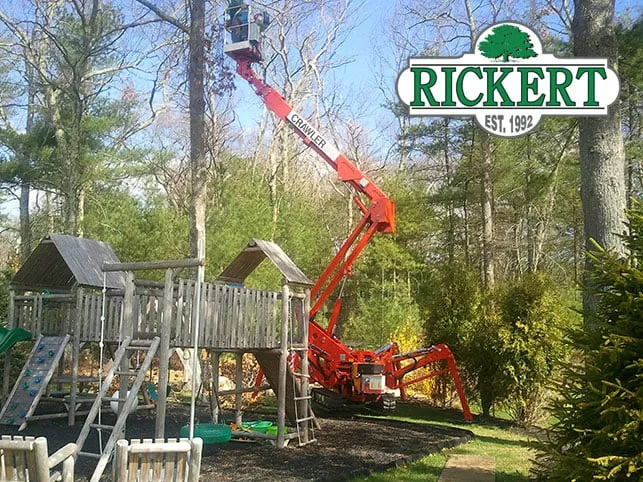 Top-rated yard cleanup service in Tulsa, OK - Rickert Landscaping & Tree Service