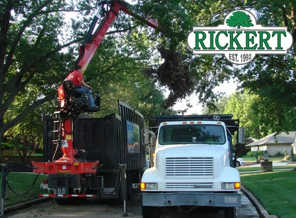 Professional landscaping services in Tulsa, OK - Rickert Landscaping & Tree Service