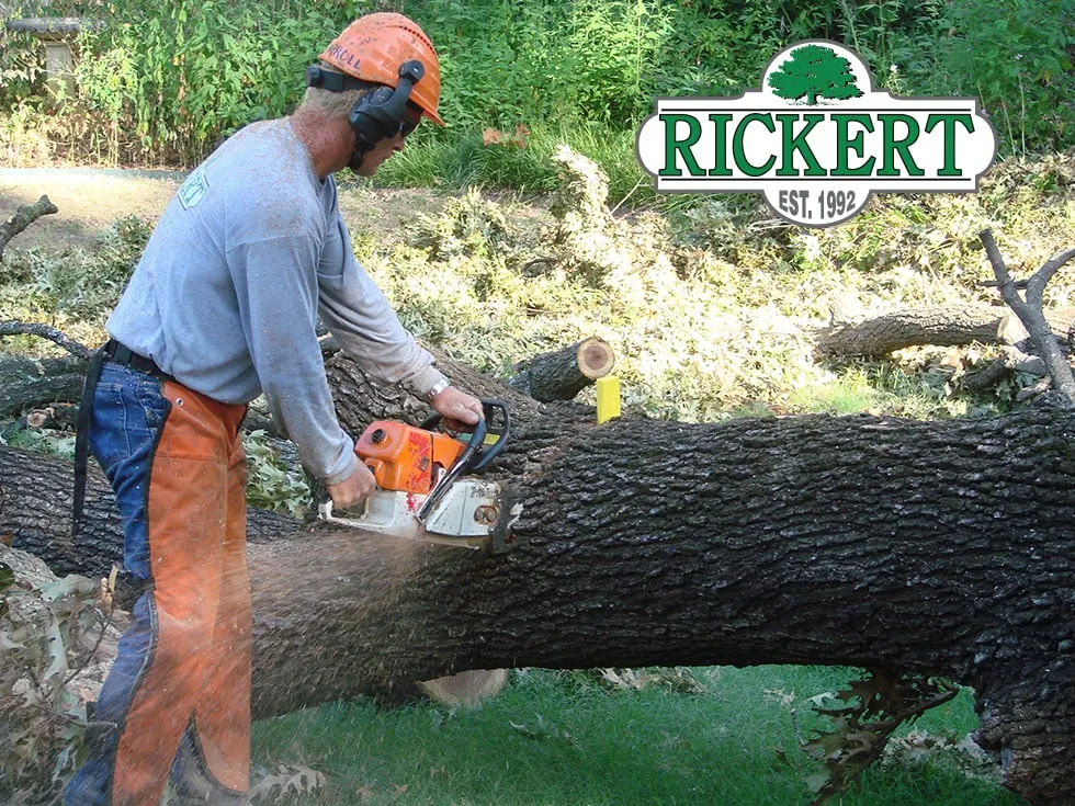 Professional landscaping services experts serving Tulsa, OK - Rickert Landscaping & Tree Service