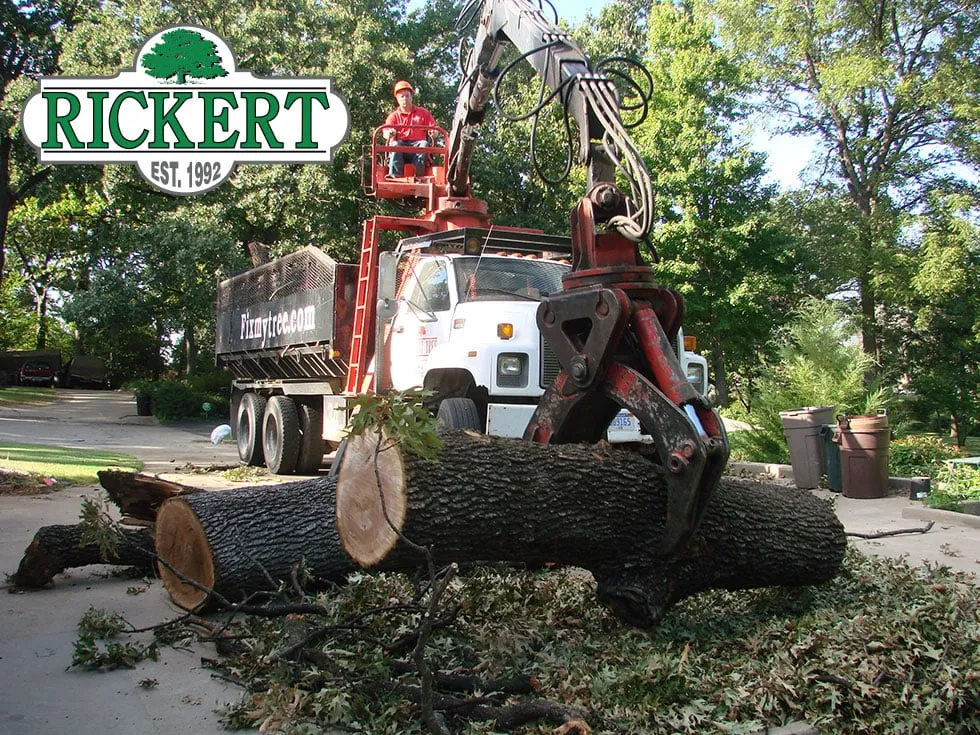 Top-rated landscaping services in Tulsa, OK - Rickert Landscaping & Tree Service