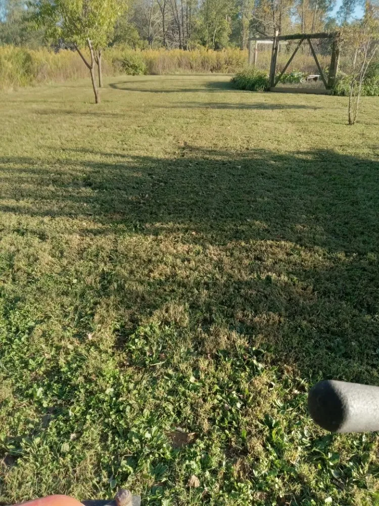 Local yard maintenance in Beckemeyer, IL by Ricketts Lawncare