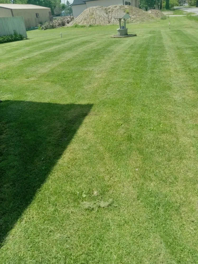 Reliable yard maintenance for residential properties in Beckemeyer, IL by Ricketts Lawncare