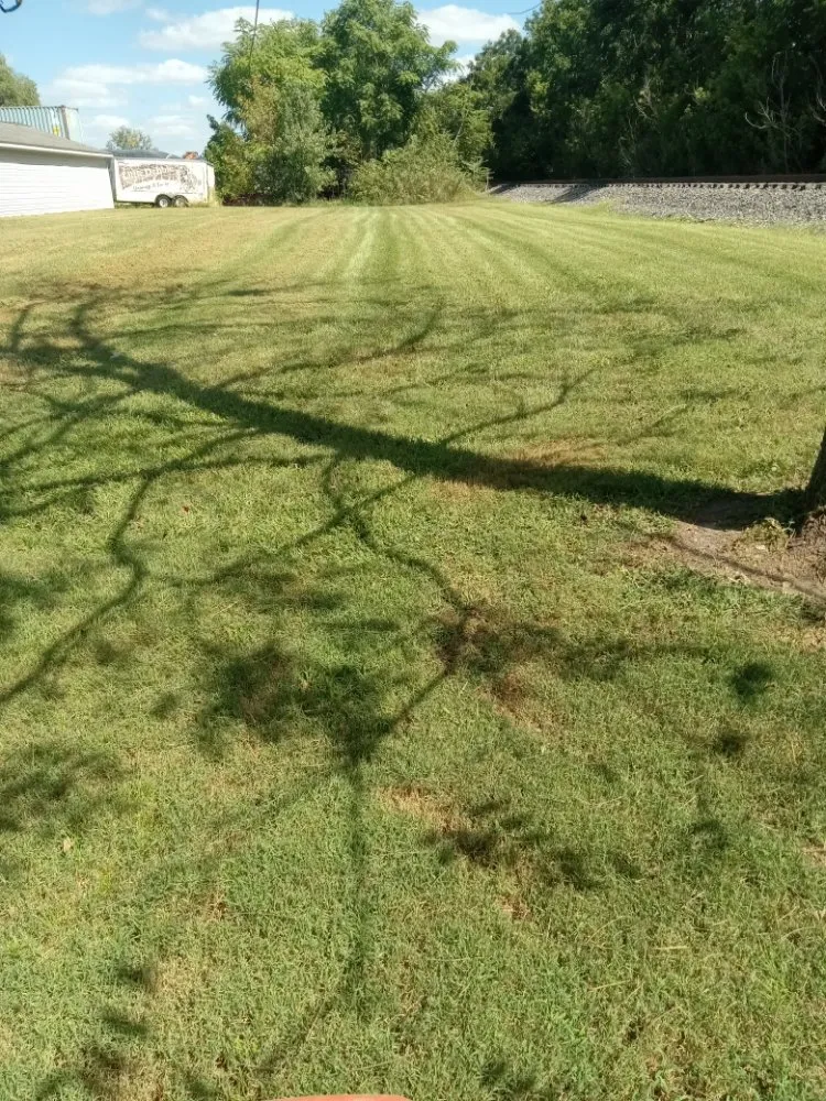 Expert yard cleanup service in Beckemeyer, IL - Ricketts Lawncare