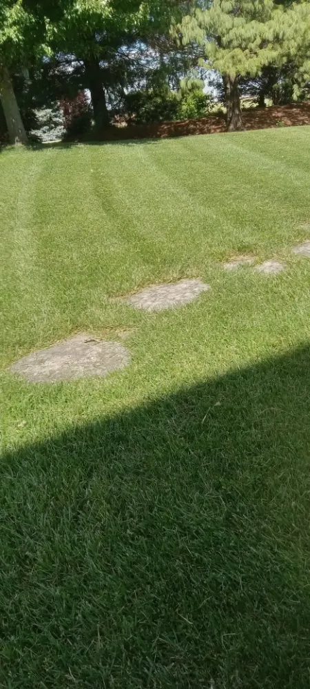 Local landscaping services in Beckemeyer, IL - Ricketts Lawncare