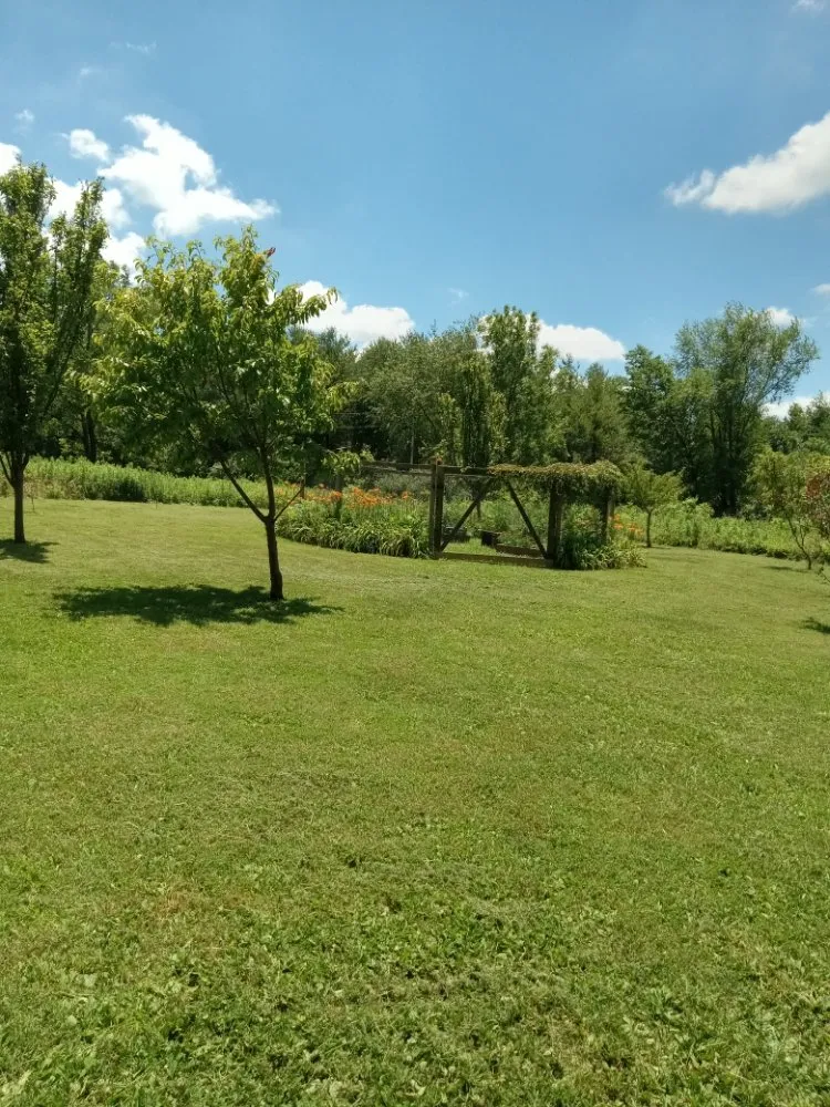 Custom outdoor landscaping experts serving Beckemeyer, IL - Ricketts Lawncare