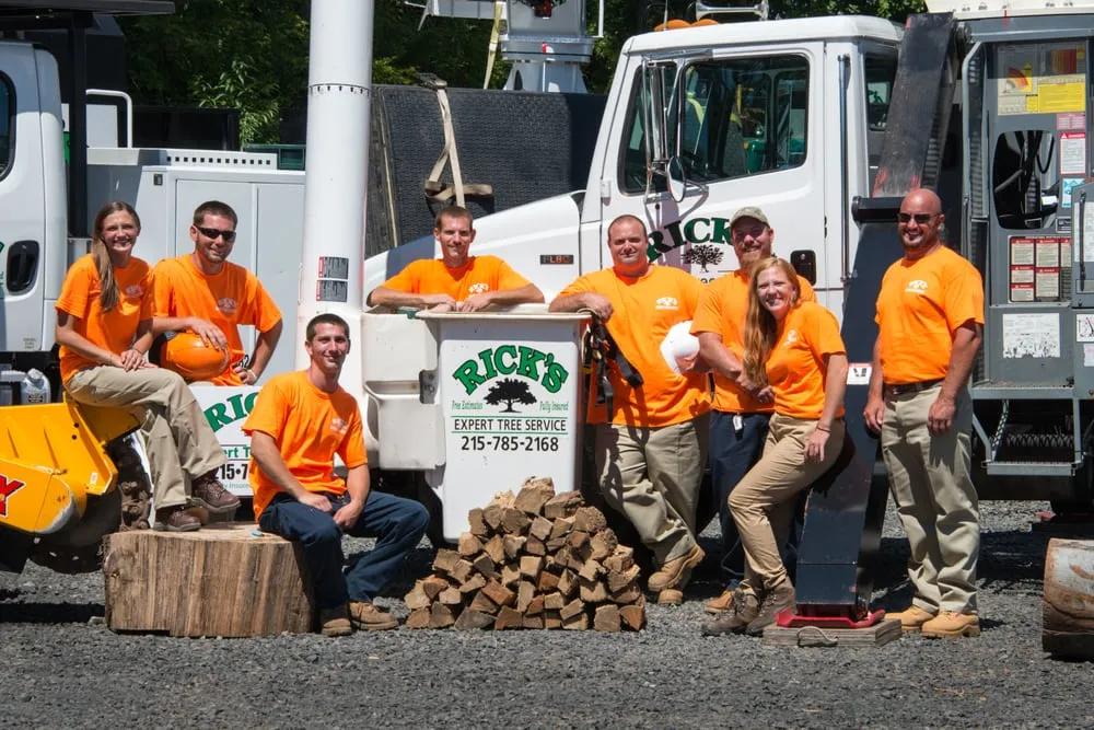Reliable landscaping services in Bensalem, PA by Rick's Expert Tree Service