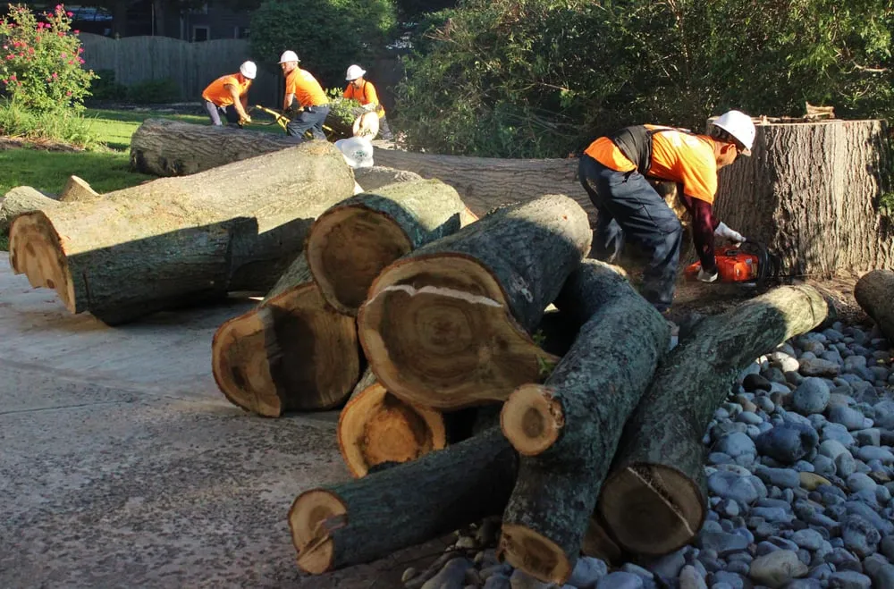 Expert garden landscaping in Bensalem, PA - Rick's Expert Tree Service