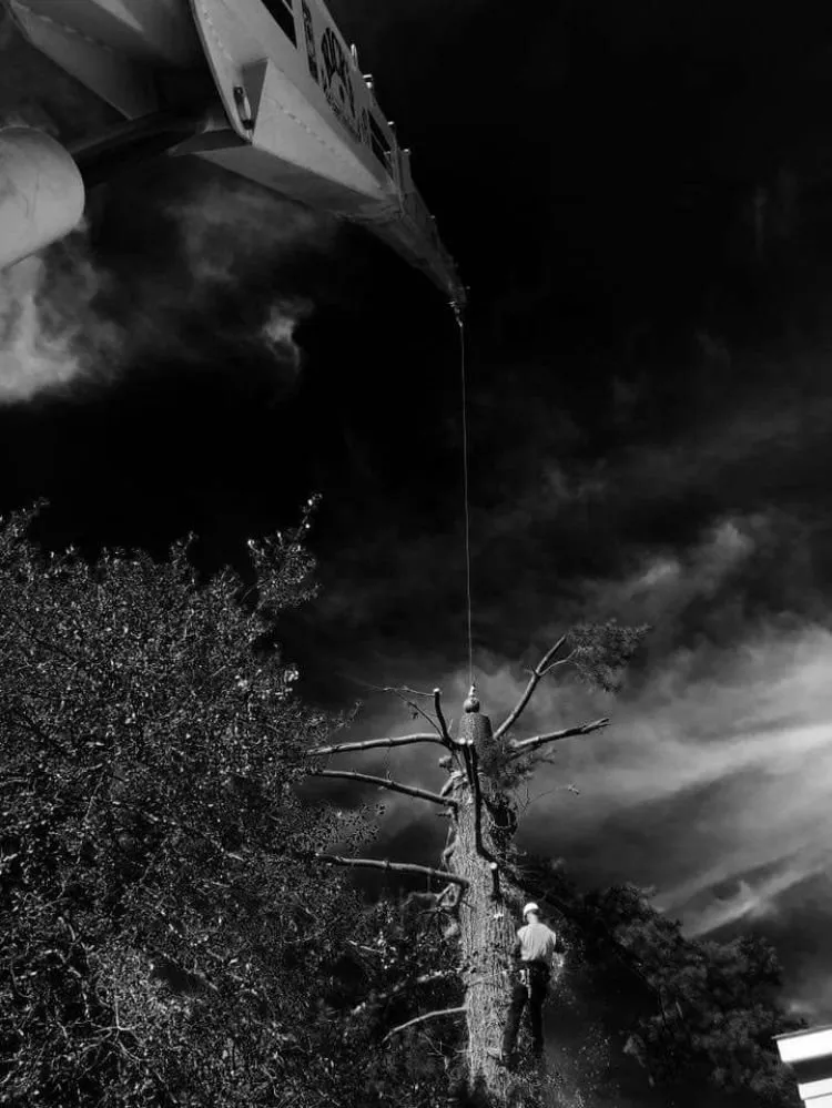 Expert outdoor landscaping for outdoor upgrades across Bensalem, PA - Rick's Expert Tree Service