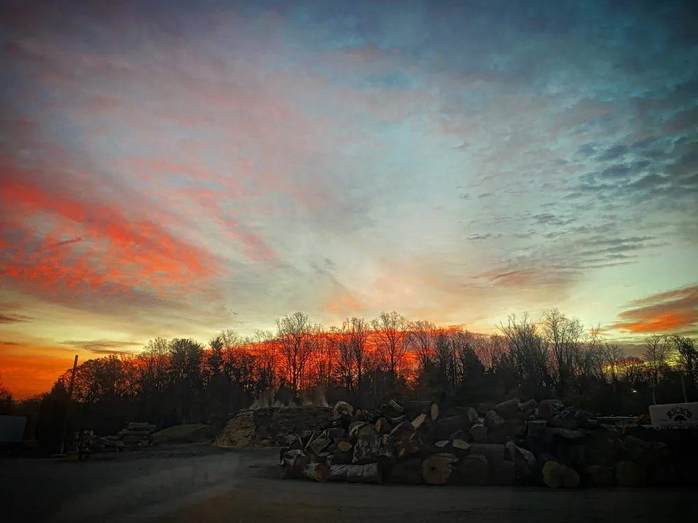 Reliable residential landscaping in Bensalem, PA - Rick's Expert Tree Service