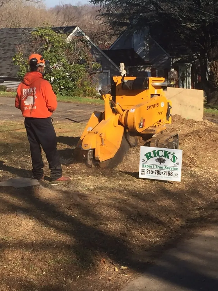 Expert garden landscaping in Bensalem, PA - Rick's Expert Tree Service