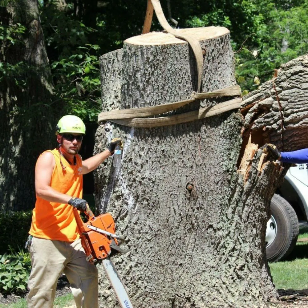 Expert landscape design near you across Bensalem, PA - Rick's Expert Tree Service