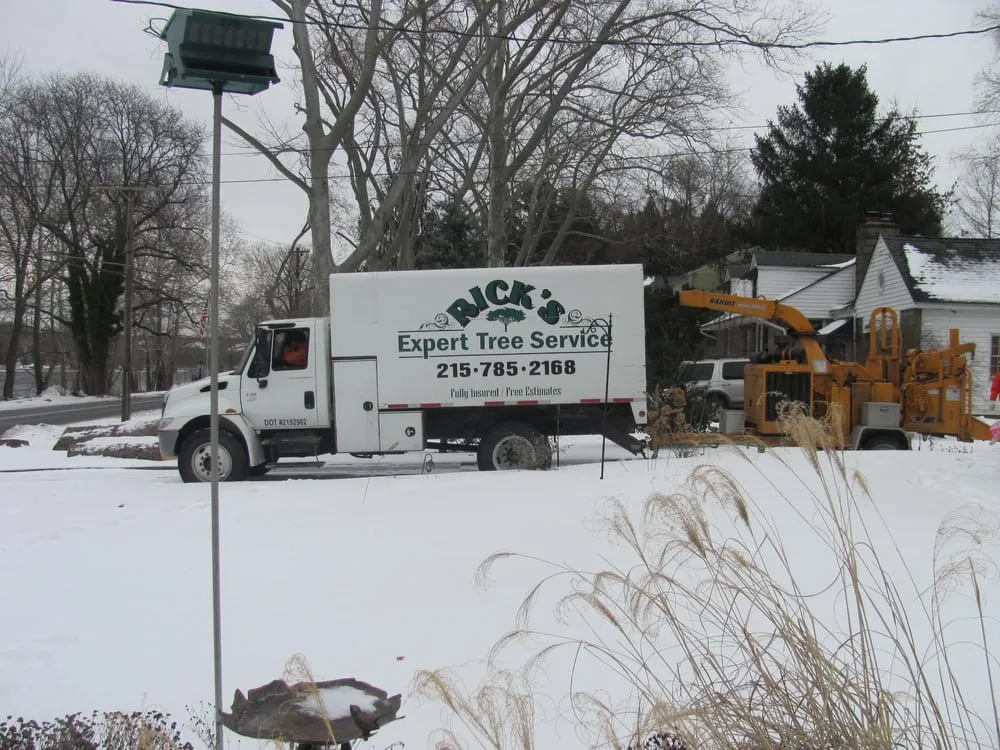 Trusted yard cleanup service with custom design across Bensalem, PA - Rick's Expert Tree Service