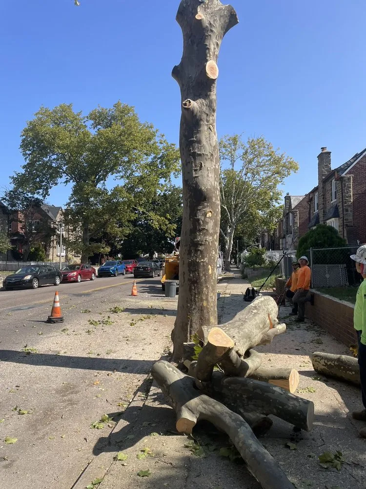 Professional landscape design for outdoor upgrades across Bensalem, PA - Rick's Expert Tree Service