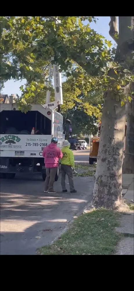 Local residential landscaping for residential properties in Bensalem, PA by Rick's Expert Tree Service