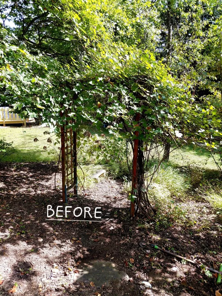 Affordable yard cleanup service for beautiful yards in Annandale, VA by Rick's Helping Hand