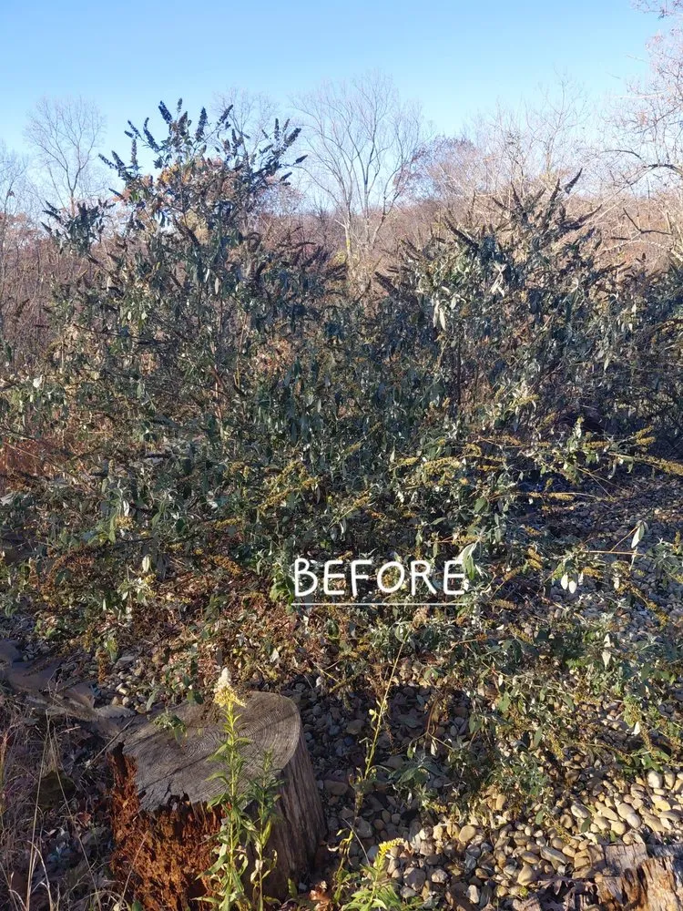 Trusted landscaping services in Annandale, VA - Rick's Helping Hand