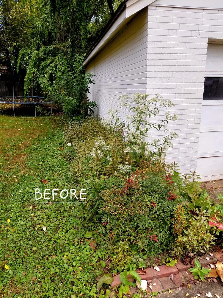 Affordable lawn care service in Annandale, VA - Rick's Helping Hand