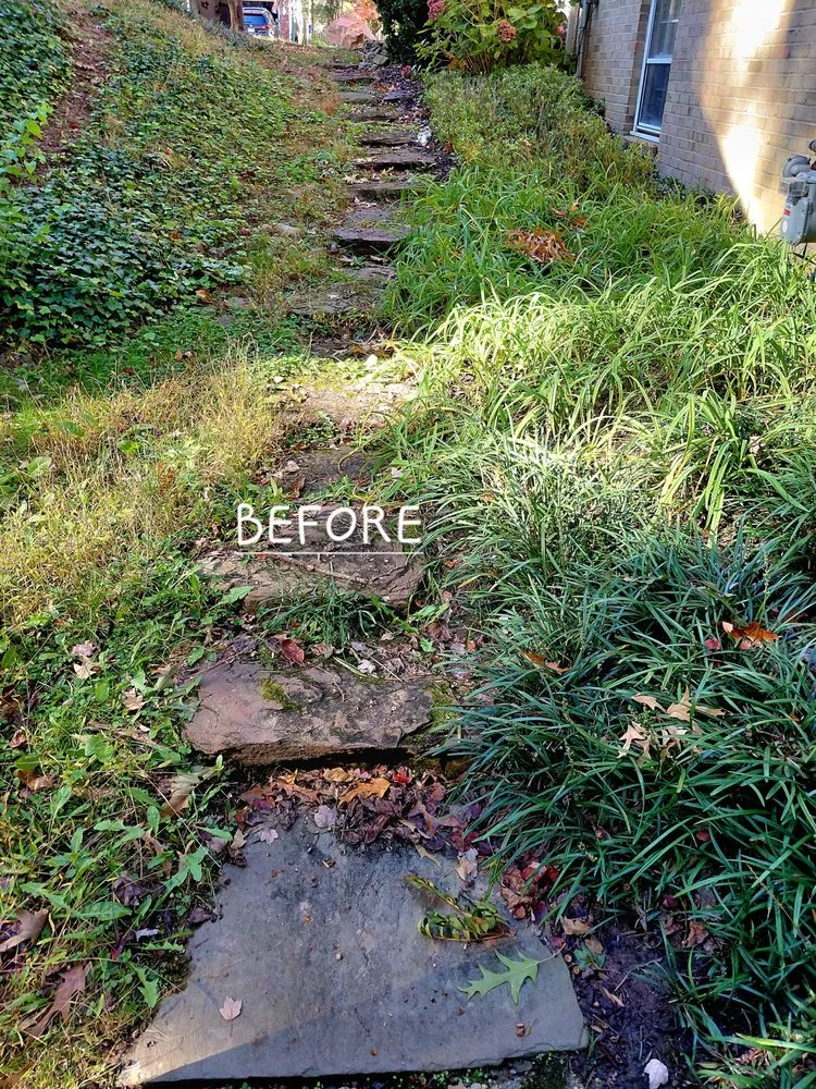 Trusted landscaping services experts serving Annandale, VA - Rick's Helping Hand