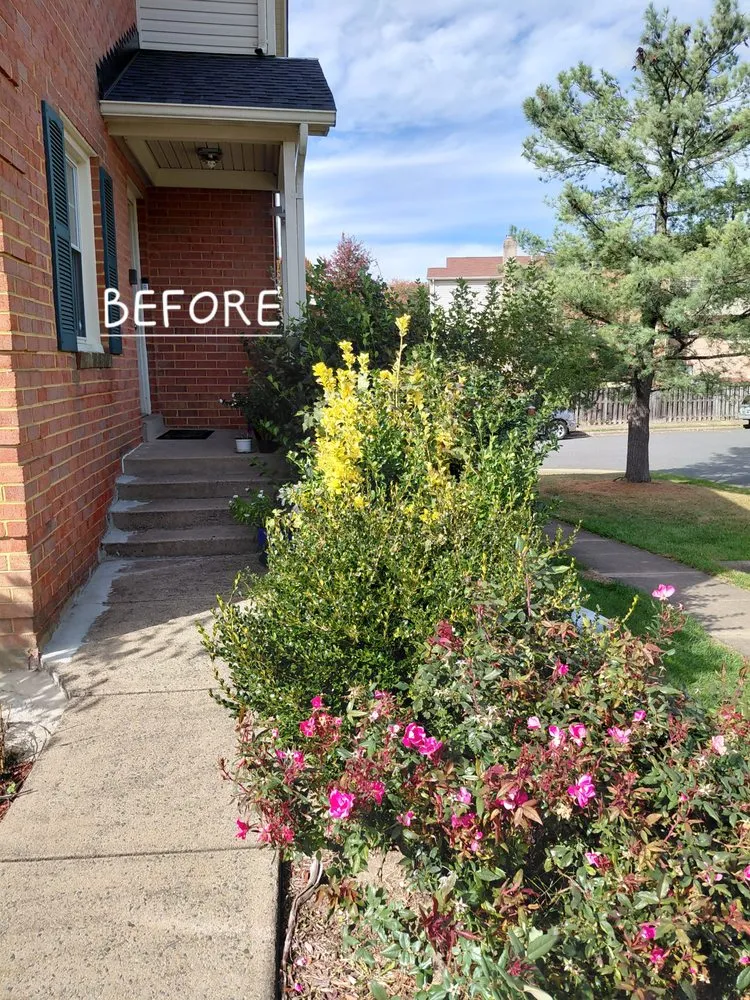 Affordable landscape installation for outdoor upgrades across Annandale, VA - Rick's Helping Hand