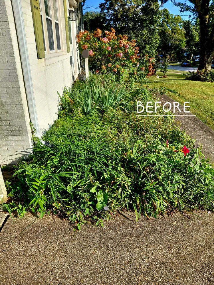 Reliable residential landscaping experts serving Annandale, VA - Rick's Helping Hand