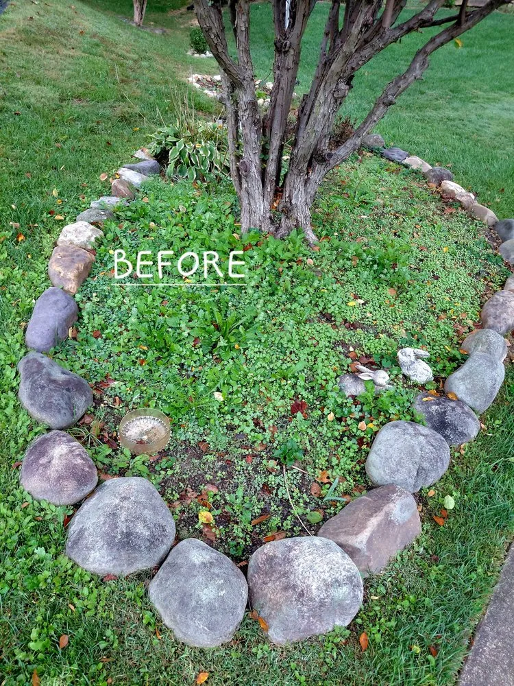 Top-rated lawn care service experts serving Annandale, VA - Rick's Helping Hand